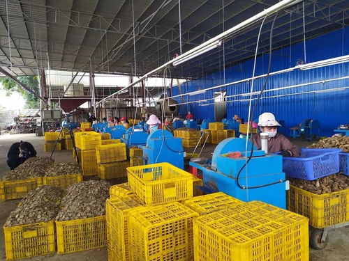 節氣不等人，春日勝黃金 把握旅游業務的季節脈搏